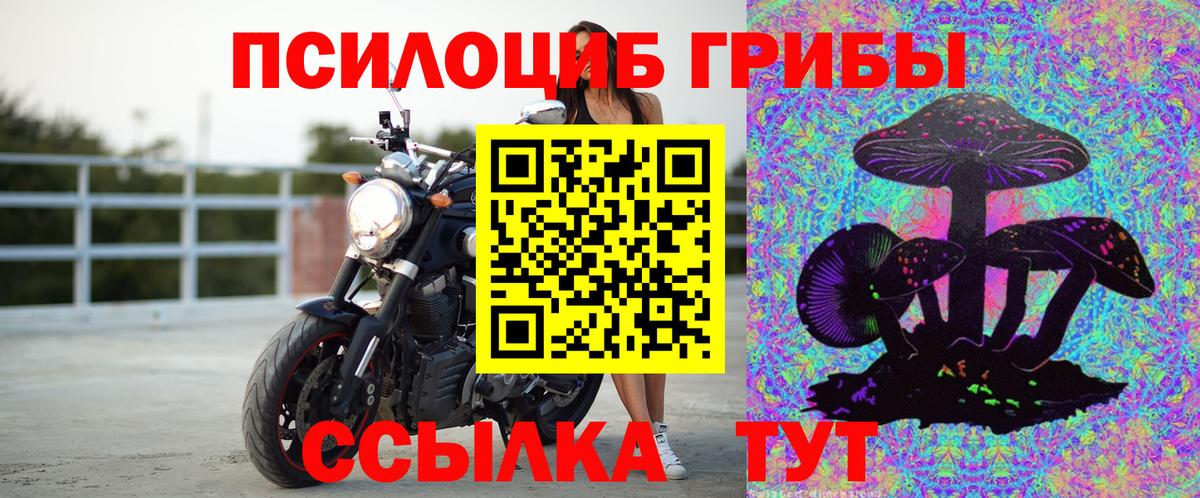 Галлюциногенные грибы мухоморы Владивосток