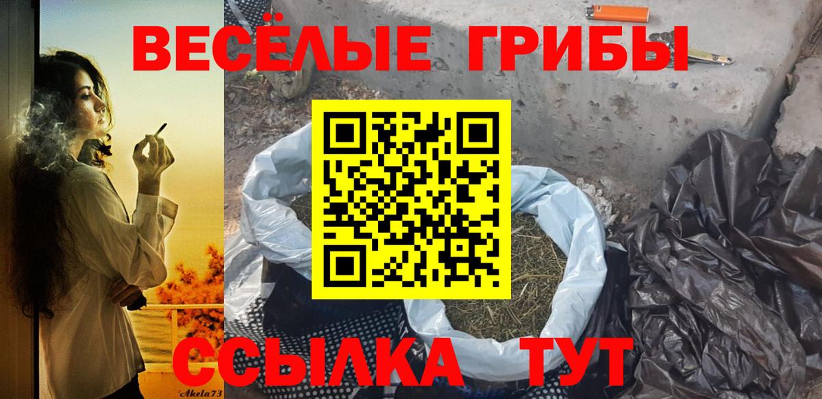 Псилоцибиновые грибы GOLDEN TEACHER  Вход с VPN  купить наркоту  Владивосток 